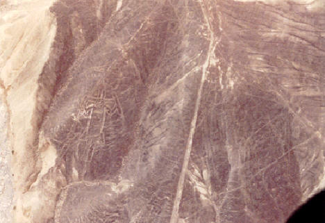 Misteri garis Nazca