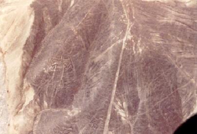 Garis Nazca Adalah Garis Paling Misterius Di Dunia [ www.BlogApaAja.com ]